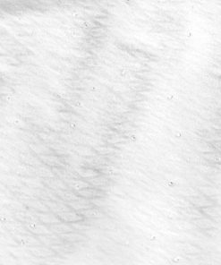 Steadco.shop00e14c8767 2