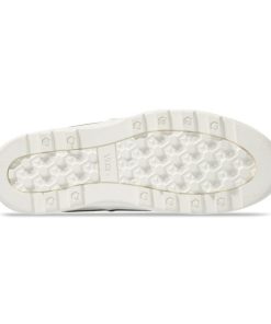 Steadco.shop1a750e2e0e 5