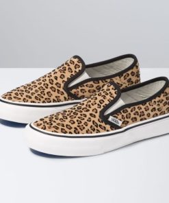 Steadco.shop1f627715c0 1