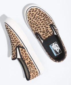 Steadco.shop1f627715c0 2