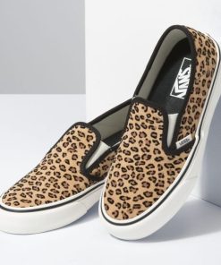 Steadco.shop1f627715c0 3