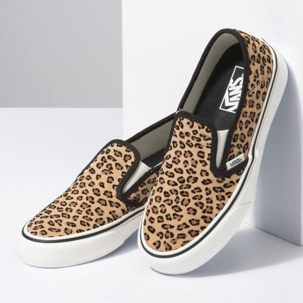 Steadco.shop1f627715c0 3