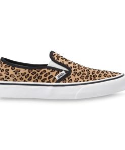 Steadco.shop1f627715c0 4