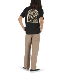 Steadco.shop29ee8d2f7d 4