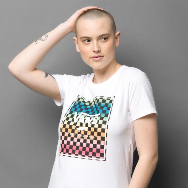 Steadco.shop38871e980a 2