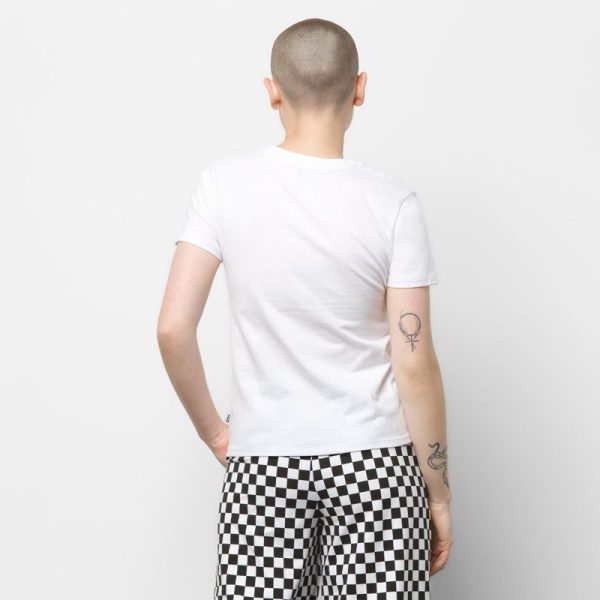 Steadco.shop38871e980a 3