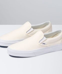 Steadco.shop3a07c38bde 1