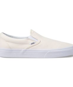 Steadco.shop3a07c38bde 4