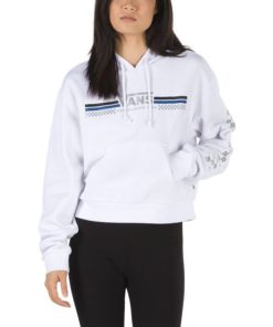 Steadco.shop413dcb9f5a 1