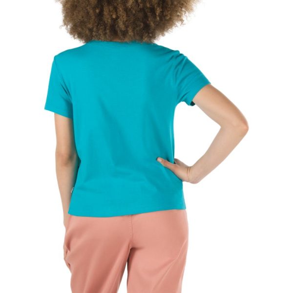 Steadco.shop4420cdac9d 3