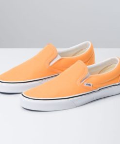 Steadco.shop4f16de0cad 1