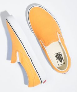 Steadco.shop4f16de0cad 2