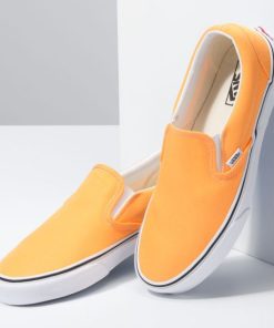 Steadco.shop4f16de0cad 3