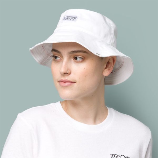 Steadco.shop53577d8661 1