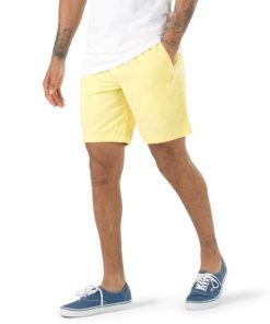 Steadco.shop5a4ae2bb4a 1