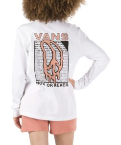 Steadco.shop7074428e6f 2