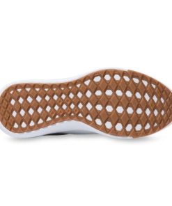 Steadco.shop738d5880ea 5