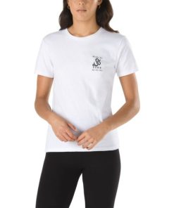 Steadco.shop7b59d18cc6 2