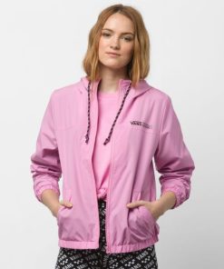 Steadco.shop822c252a45 1