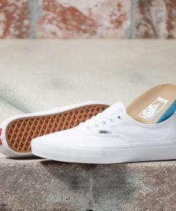 Steadco.shop86af117ff1 1