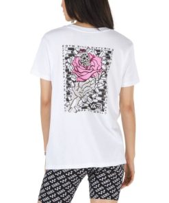 Steadco.shop8f0b846cfe 1