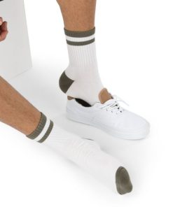 Steadco.shop9984626867 1