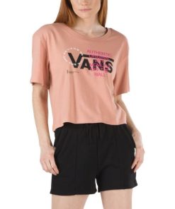 Steadco.shopa11696e746 1