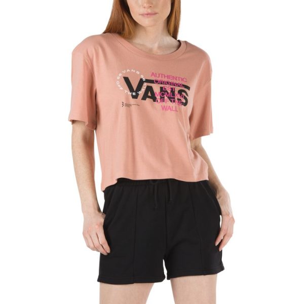 Steadco.shopa11696e746 1