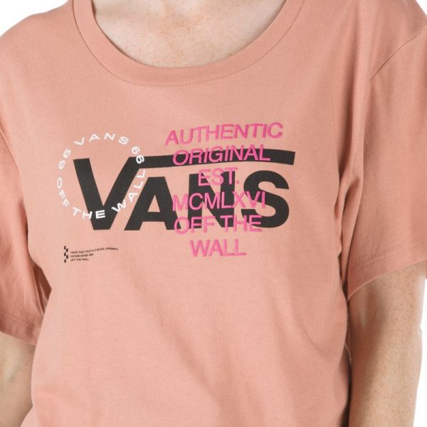 Steadco.shopa11696e746 2