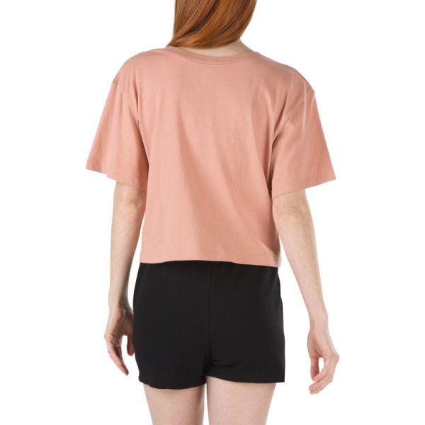 Steadco.shopa11696e746 3