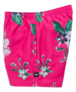 Steadco.shopa693f60897 4