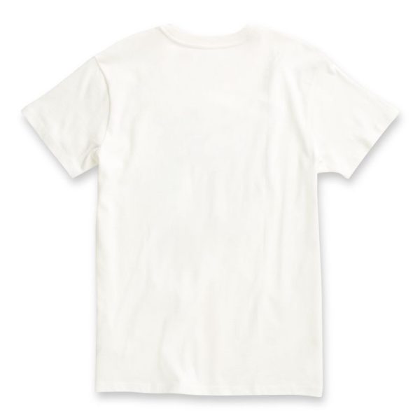 Steadco.shopb1b284ffb2 5