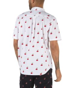 Steadco.shopb8eb574f87 2