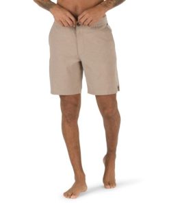 Steadco.shopbb2d73f7b8 2