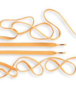 Steadco.shopc098867cca 1