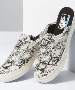 Steadco.shopcc5b62aae9 3