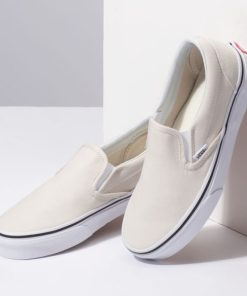 Steadco.shopddd3e425c6 3