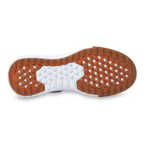 Steadco.shope1927d65c2 5