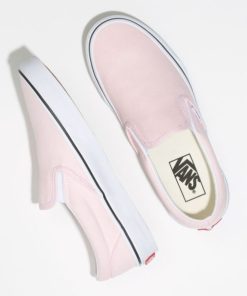 Steadco.shopfc4e48bd1f 2