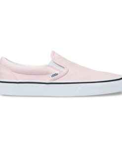 Steadco.shopfc4e48bd1f 4